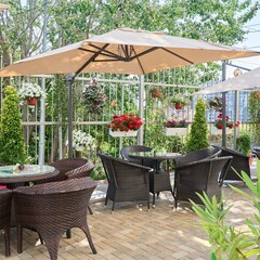 Отель Амбассадор, Сочи, Краснодарский край