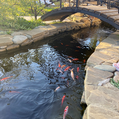 Гостевой дом Загородное, Орловская область