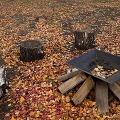 Глэмпинг WhiteWood, Тюменская область