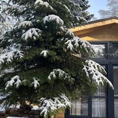 База отдыха Ассалам, Республика Карачаево-Черкесия 