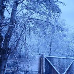 Отель Белый Снег, Сахалинская область