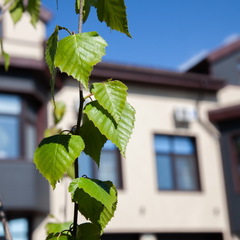 Отель Белый Снег, Сахалинская область