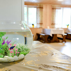 Гостевой дом Иверия, Республика Адыгея