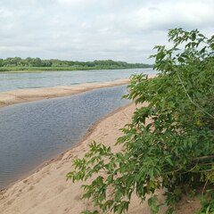 Глэмпинг Лесной сон, Тульская область