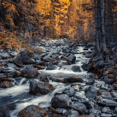 Отель Речные земли (Алтай), Республика Алтай