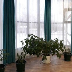 Гостиница Ажур Deluxe, Красноярский край