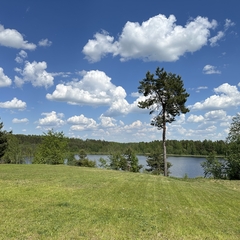 Коттедж Звёздное небо, Псковская область