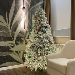 Гостиница Олива (В. Устюг), Вологодская область