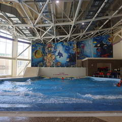 Гостиница Paradise Resort (Ю.Сахалинск), Сахалинская область