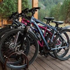 Эко-отель Altay Sense, Республика Алтай