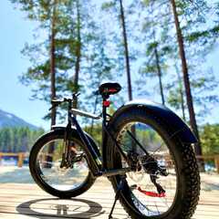 Эко-отель Altay Sense, Республика Алтай