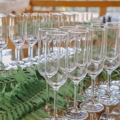 Эко-отель Altay Sense, Республика Алтай