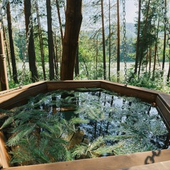 Эко-отель Altay Sense, Республика Алтай