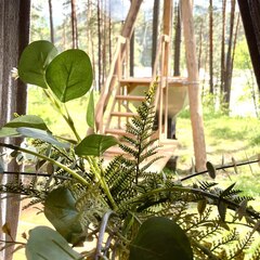 Эко-отель Altay Sense, Республика Алтай