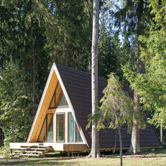 Глэмпинг Pine Forest (Шадрино), Московская область