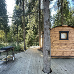 Глэмпинг Pine Forest (Шадрино), Московская область