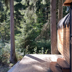 Глэмпинг Pine Forest (Шадрино), Московская область