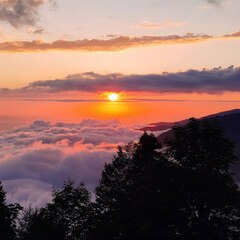 Глэмпинг Атмосфера (гора Мамзышха), Гагрский район