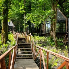 Глэмпинг RIVER SIDE Resort & Spa, Краснодарский край