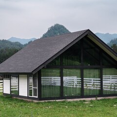 Коттеджный комплекс Альпинс резидентс, Республика Алтай