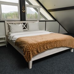 Коттеджный комплекс Альпинс резидентс, Республика Алтай