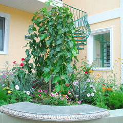 Мини-отель Пансион Кафа, Феодосия, Крым