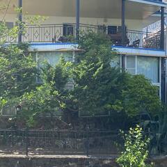 Гостевой дом Уютный дом (Лоо), Краснодарский край