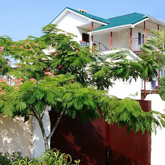 Гостевой дом Оазис (Береговое), Крым