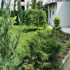 Гостевой дом Оазис (Береговое), Крым