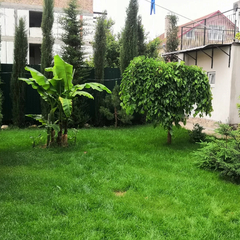 Гостевой дом Оазис (Береговое), Крым