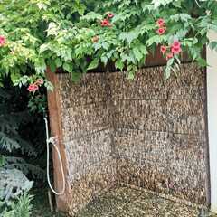 Гостевой дом Оазис (Береговое), Крым