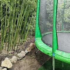 Гостевой дом Оазис (Береговое), Крым