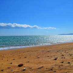 Гостевой дом Оазис (Береговое), Крым