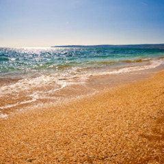 Гостевой дом Оазис (Береговое), Крым