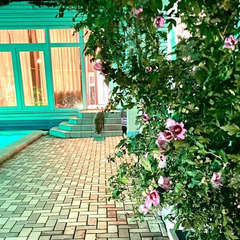 Гостевой дом Континент, Краснодарский край