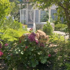 Гостевой дом Континент, Краснодарский край