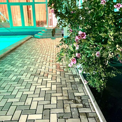 Гостевой дом Континент, Краснодарский край