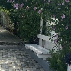 Гостевой дом Континент, Краснодарский край