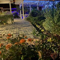 Гостевой дом Континент, Краснодарский край