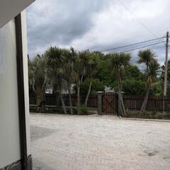 Гостевой дом Вилла Блюз, Гудаута