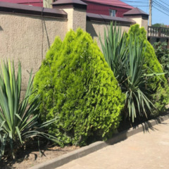 Гостевой дом Ника (Кабардинка), Краснодарский край