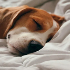 Гостиница Apri polet hotel, Пермский край