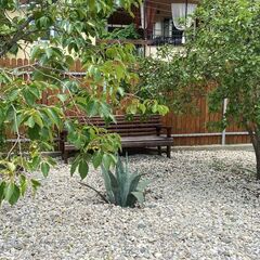 Коттеджный комплекс Малина (Гагра), Гагра