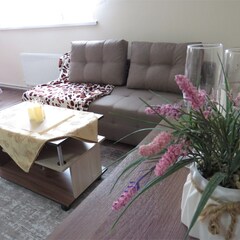 Гостевой комплекс Семейный (Чебаркуль), Челябинская область