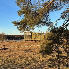 База отдыха Chuchemlya eco village, Новгородская область