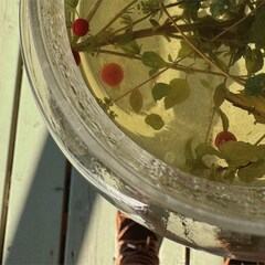 База отдыха Chuchemlya eco village, Новгородская область