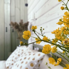 База отдыха Chuchemlya eco village, Новгородская область