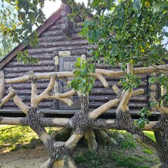 Отель Forest, Калужская область