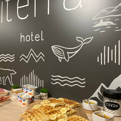 Гостиница Iterra hotel, Мурманская область