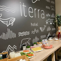 Гостиница Iterra hotel, Мурманская область